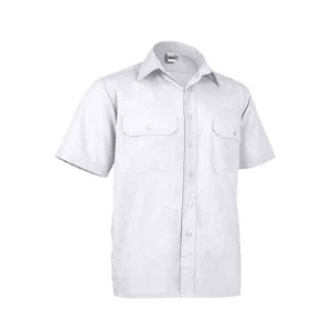 Camisa Manga Curta ACADEMY