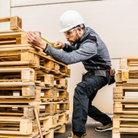 Sapatilha Canvas BRISK Sapatilha Canvas BRISK - Image 2