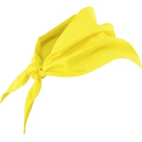 Lenço de Cozinheiro 404003