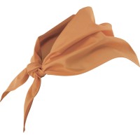 Lenço de Cozinheiro 404003