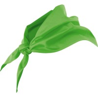 Lenço de Cozinheiro 404003