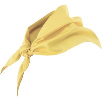 Lenço de Cozinheiro 404003