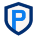 LOGO P 2025